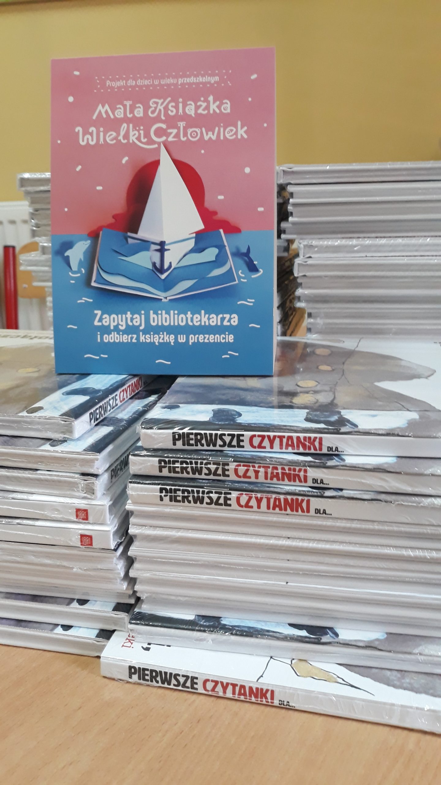 Zdjęcie przedstawia książki związane z kampanią „Mała książka – wielki człowiek” w Gminnej Bibliotece Publicznej w Hołubli.