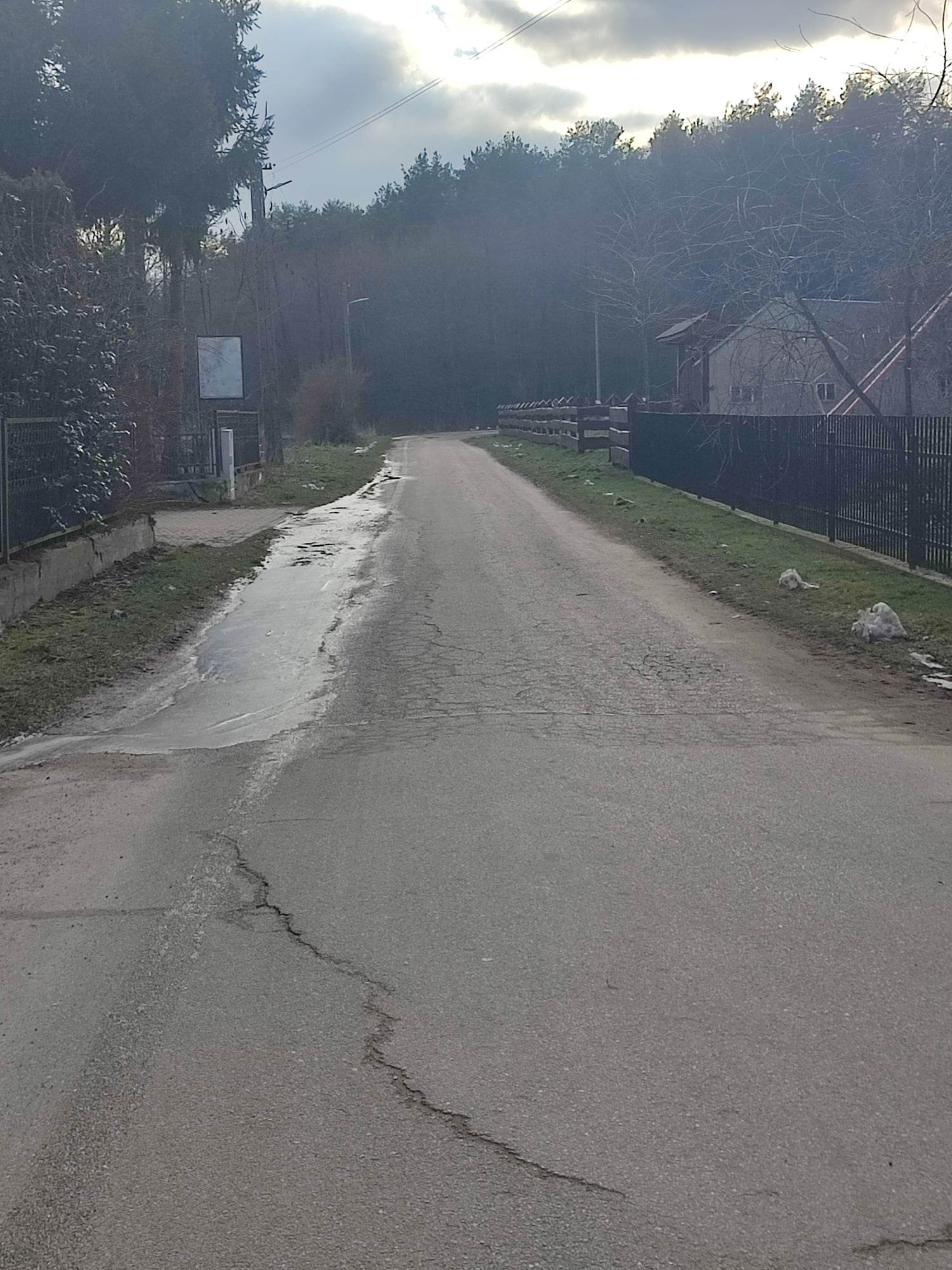Zdjęcie- droga w miejscowości Kaliski